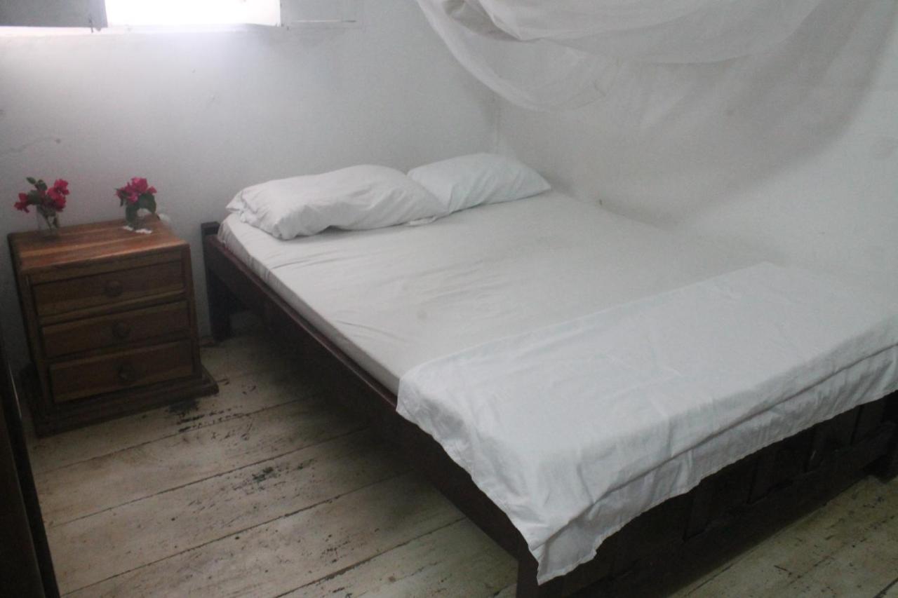 Taida Experience Hostel Rincón エクステリア 写真
